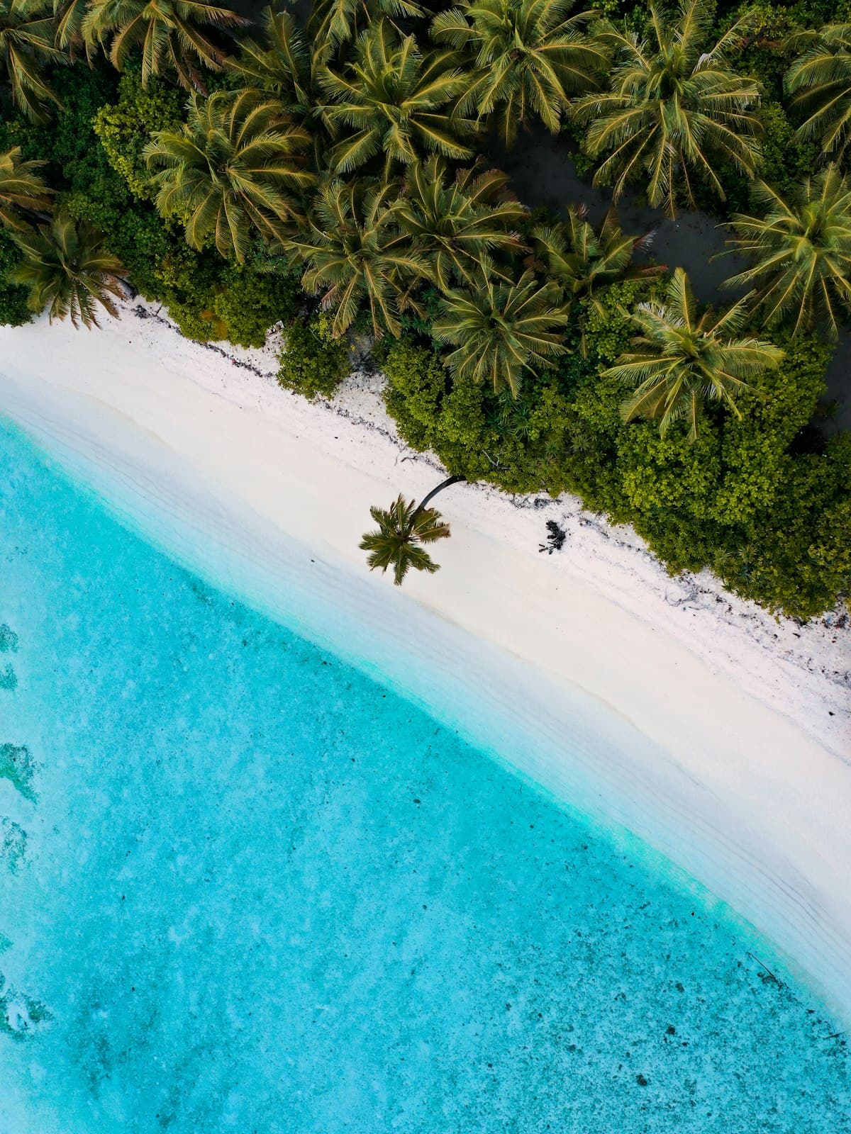 Island Escapes