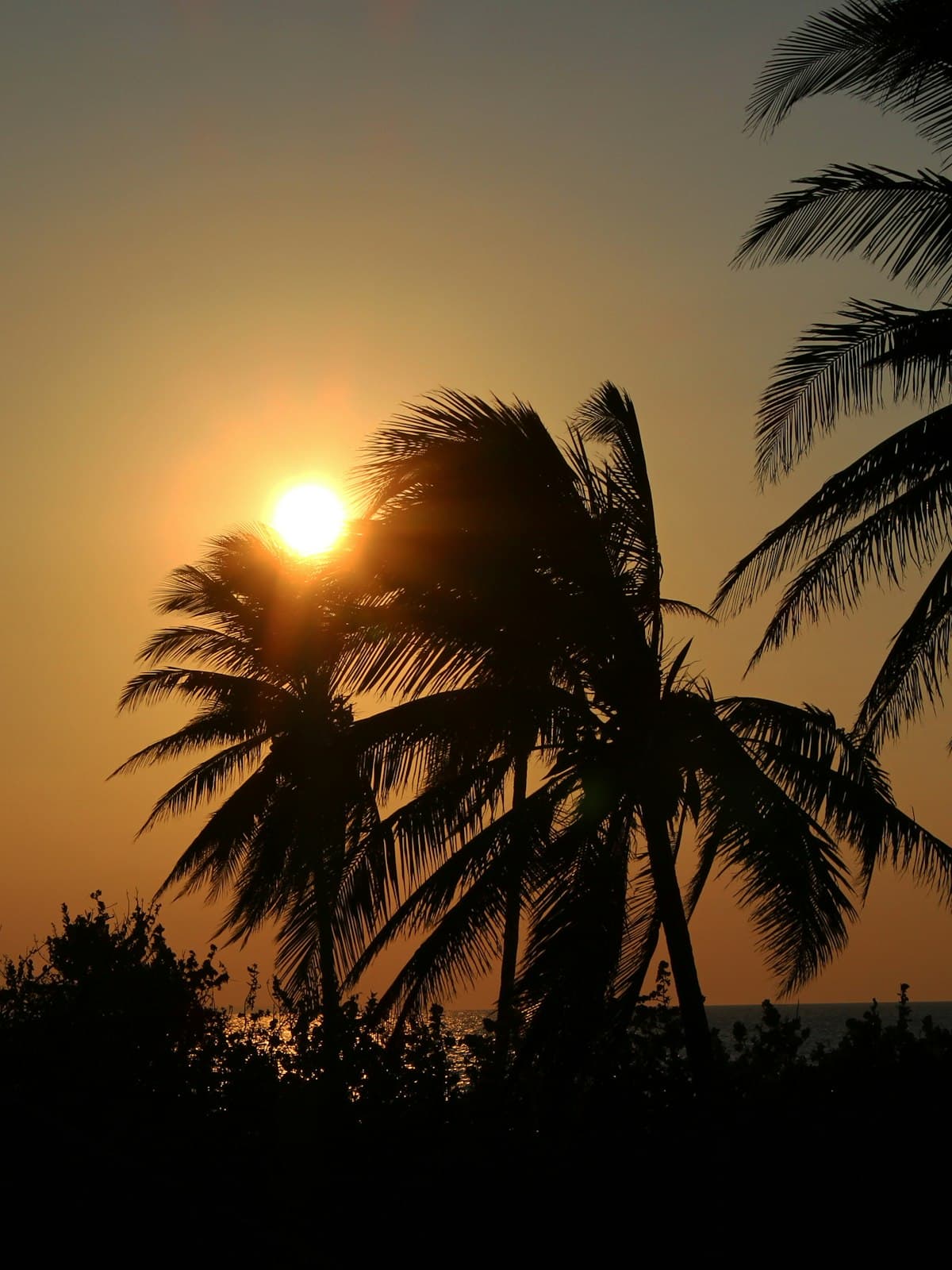 Romantic Escapes